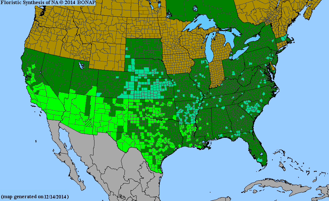 County distribution map of Amaranthus palmeri - Careless Weed